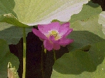 chibapark990610-2.jpg (195339 oCg)